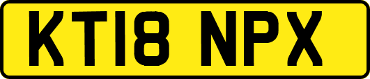 KT18NPX