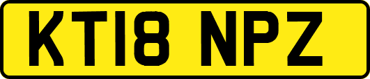 KT18NPZ