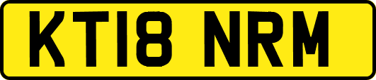 KT18NRM