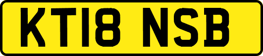 KT18NSB