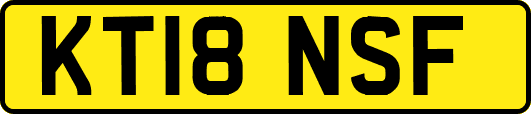 KT18NSF