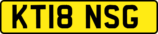 KT18NSG