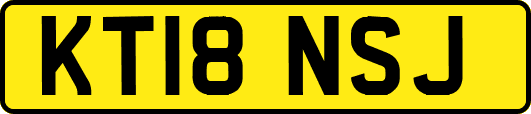 KT18NSJ