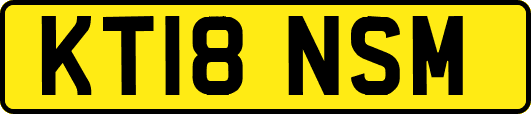 KT18NSM