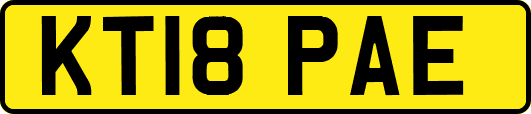 KT18PAE