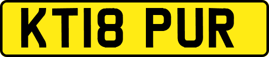 KT18PUR