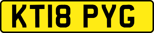 KT18PYG