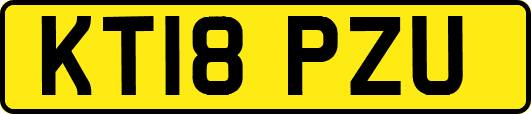 KT18PZU