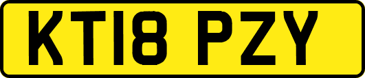 KT18PZY