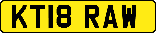 KT18RAW