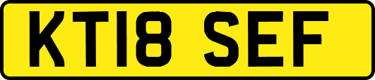 KT18SEF