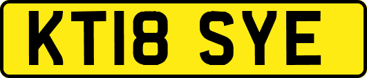 KT18SYE