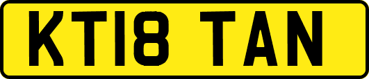 KT18TAN