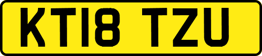 KT18TZU