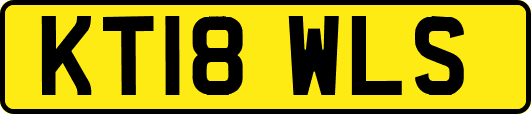 KT18WLS