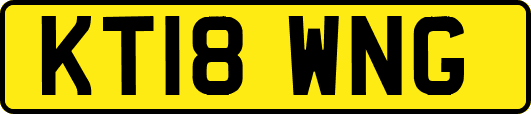 KT18WNG