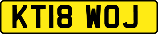 KT18WOJ