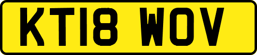 KT18WOV