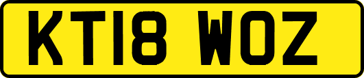 KT18WOZ