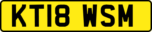 KT18WSM