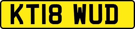 KT18WUD