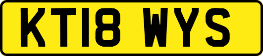 KT18WYS