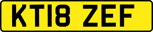 KT18ZEF