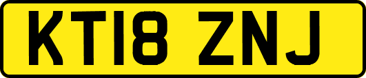 KT18ZNJ