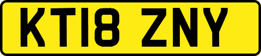 KT18ZNY