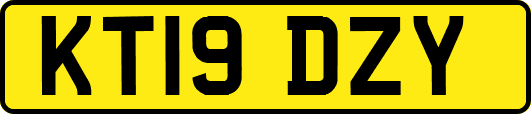 KT19DZY