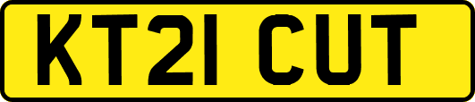 KT21CUT