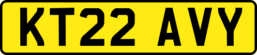KT22AVY
