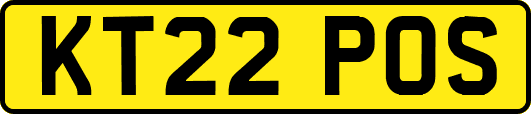KT22POS