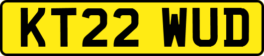 KT22WUD