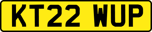 KT22WUP