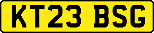 KT23BSG