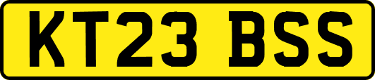 KT23BSS