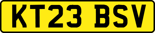 KT23BSV