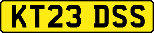 KT23DSS