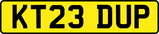 KT23DUP