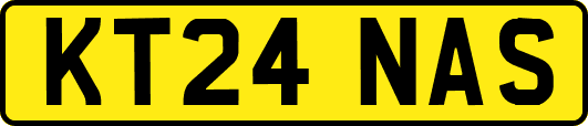 KT24NAS
