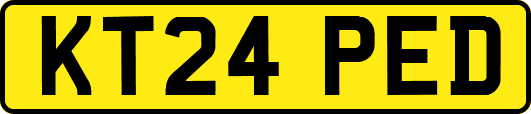 KT24PED