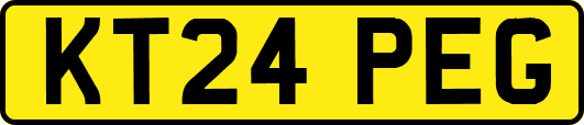 KT24PEG