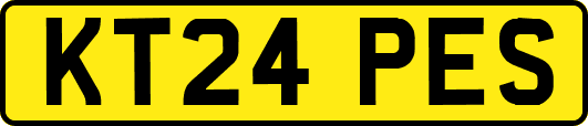 KT24PES