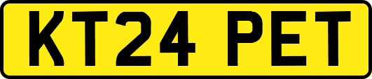 KT24PET