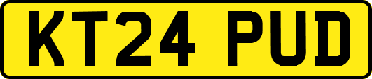 KT24PUD