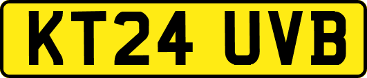 KT24UVB