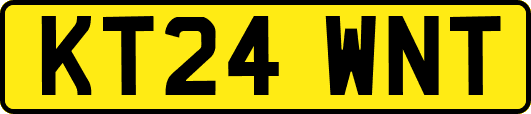 KT24WNT