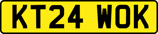 KT24WOK