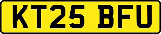 KT25BFU